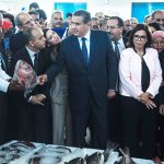 akhannouch - freenews - maroc