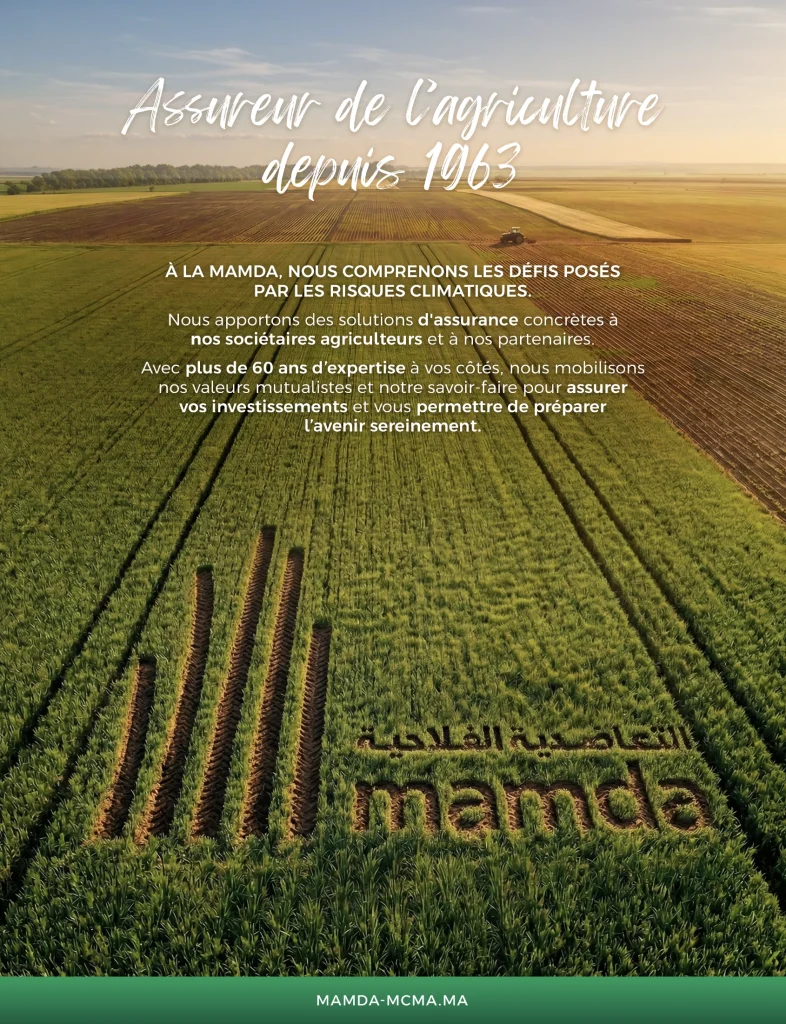 AP FR Mamada 60ans 215x28cm