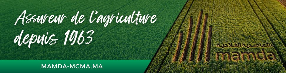 Banniere-FR-Mamda-60ans_970x250